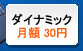ダイナミックホスティング