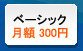 ベーシックホスティング