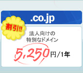 .co.jpドメイン