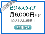 ビジネスタイプ